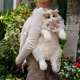 Creative Cat Backpacks Wearable Fashion Companion Cats