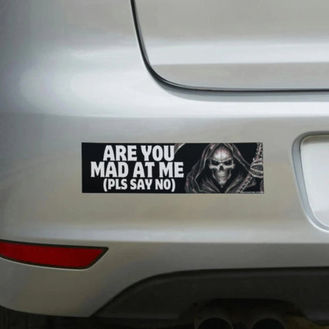 Are You Mad at Me (Pls Say No) Bumper Sticker