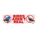 Birds Aren't Real