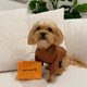 CHEWY PAWTTON PLUSH DOG TOY
