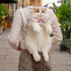 Ragdoll Cat Backpack – Cozy Companion for Travel & School
