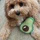 AVOCADO PLUSH DOG TOY