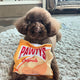 PAWTATO CHIPS INTERACTIVE DOG TOY