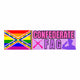 Confederate F(l)ag