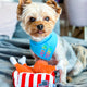 PAWTY FRIED CHICKEN INTERACTIVE SNUFFLE MAT DOG TOY