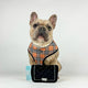 CHEWNEL PLUSH DOG TOY