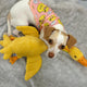 DUCK NECK INTERACTIVE DOG TOY