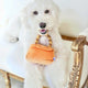 BARKIN BAG