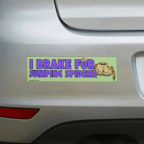 I Brake for Jumping Spiders Bumper Sticker