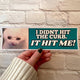 I Didn't Hit the Curb - it hit ME! (Cat)