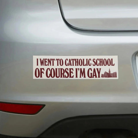 I Went to Catholic School, Of Course I'm Gay