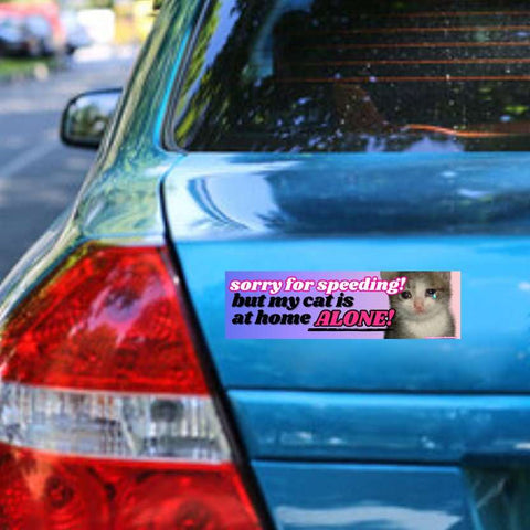 Sorry for Speeding but My Cat is at Home Alone Bumper Sticker