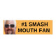 Number 1 Smash Mouth Fan Car Bumper Sticker