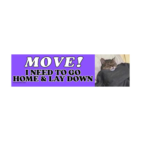 Move! I Need to Go Home and Lay Down Cat