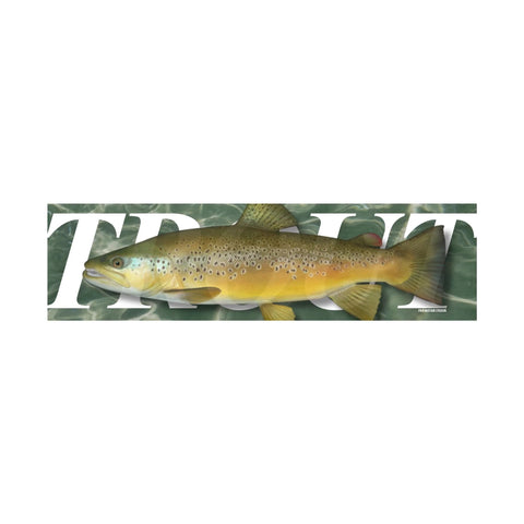 Trout Fishing Sticker
