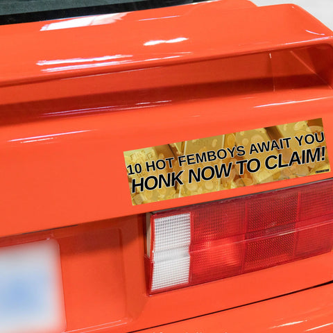 10 Hot Femboys Await You Honk Now to Claim! Bumper Sticker