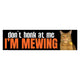 Don't Honk at Me, I'm Mewing (Chad Cat) Bumper Sticker