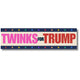 Twinks For (or Against) Trump