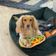 CHEWPOTLE BOWL SLOW FEEDER DOG TOY