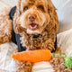 CARROT TUG ROPE INTERACTIVE DOG TOY