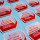 Funny Vinyl Sticker – Little Cooler – Retro Red Holographic Waterproof Decal