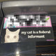 My Cat is a Federal Informant
