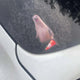 Neil the Seal Die Cut Sticker or Magnet 6" x 2”
