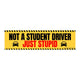 Not a Student Driver, Just Stupid