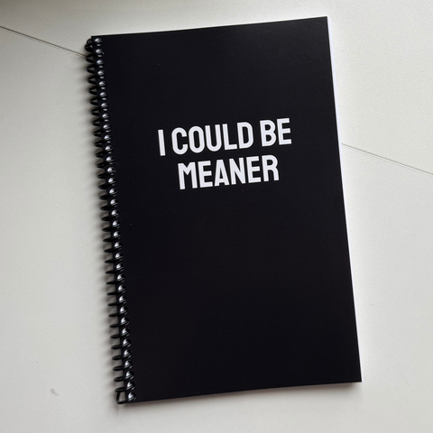 IMPERFECT I Could Be Meaner Notebook