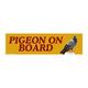 Pigeon on Board