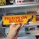 Pigeon on Board