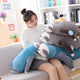Sleepy Sloth Plushie