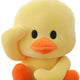 Duck Plushies