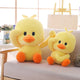 Duck Plushies