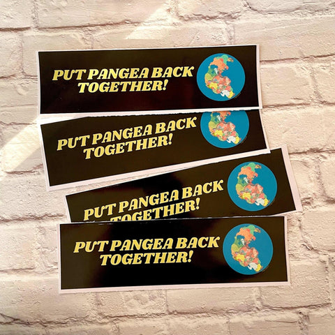 Put Pangea Back Together!