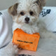 CHEWY PAWTTON PLUSH DOG TOY
