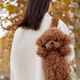 Poodle Dog Backpack – Plush Puppy Bag for Daily Use