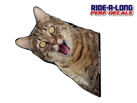 New Screaming Cat RIDE A LONG Perforated Decal