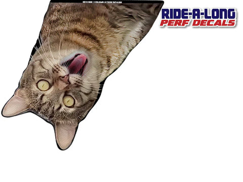 New Screaming Cat RIDE A LONG Perforated Decal