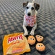 PAWTATO CHIPS INTERACTIVE DOG TOY