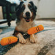 NUNCHUCKS TUG ROPE INTERACTIVE TOY