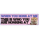 When You Honk at Me, This Is Who You Are Honking At (Cute Sad Cat)
