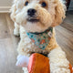 MEAT STICK PLUSH DOG TOY
