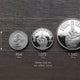 "Silver" Decision Maker Coin