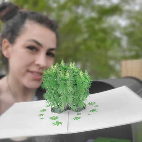 Pot Plant 3D Drugs Themed Card