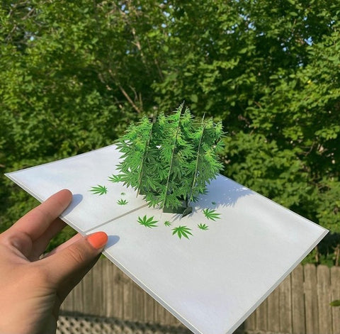 Pot Plant 3D Drugs Themed Card