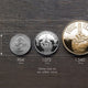 "Gold" Decision Maker Coin