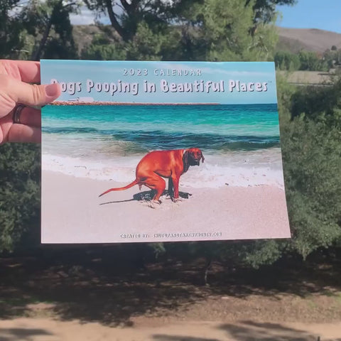 Dogs Pooping in Beautiful Places 2023 Calendar