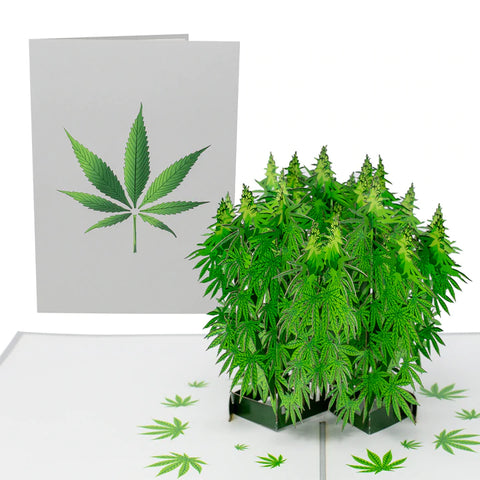 Pot Plant 3D Drugs Themed Card