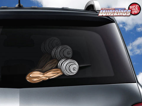 Arm Curling Dumbbell WiperTag